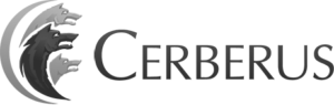 Marketing ROI Measurement - Cerberus Case Study