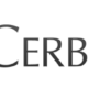 Marketing ROI Measurement - Cerberus Case Study