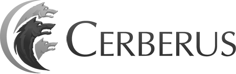Marketing ROI Measurement - Cerberus Case Study