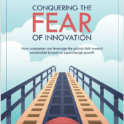Young Marketing Consulting Conquering the Fear of Innovation through Sustainability