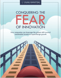 Young Marketing Consulting Conquering the Fear of Innovation through Sustainability